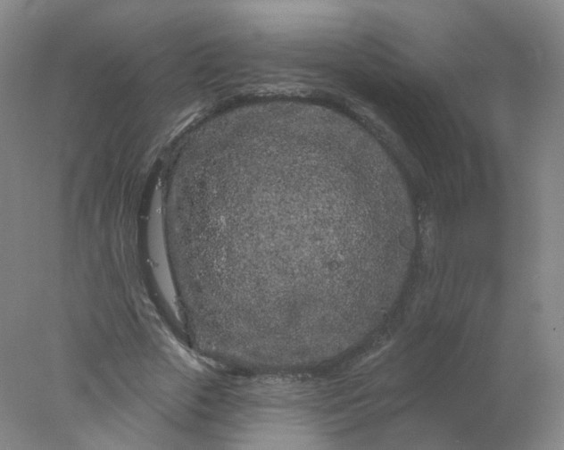 X0000077980729200611101701