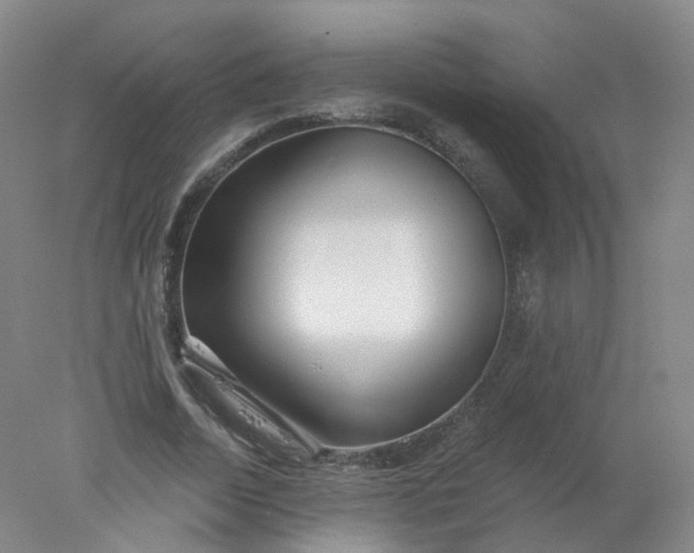 X0000077980730200611101701