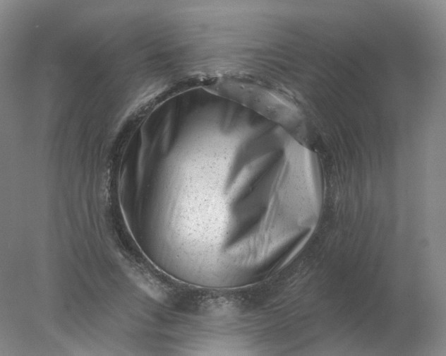 X0000077980735200611101701
