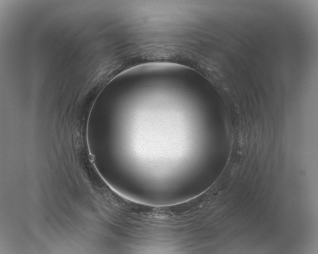 X0000077980743200611101702