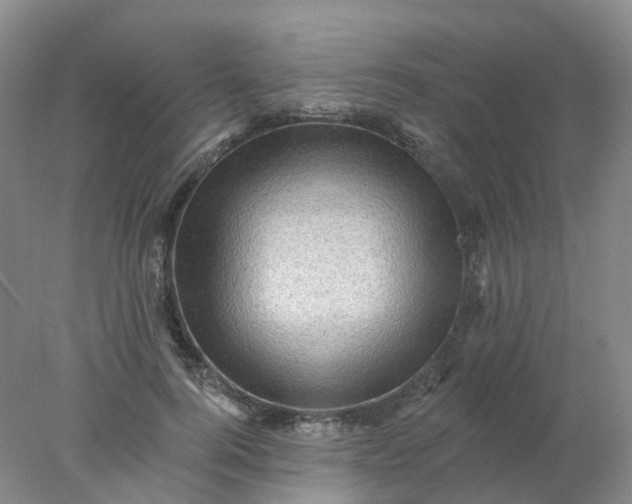X0000077980744200611101702