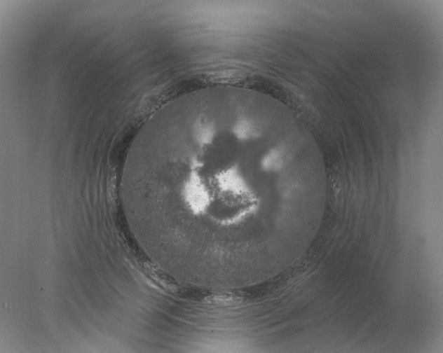 X0000077980745200611101702