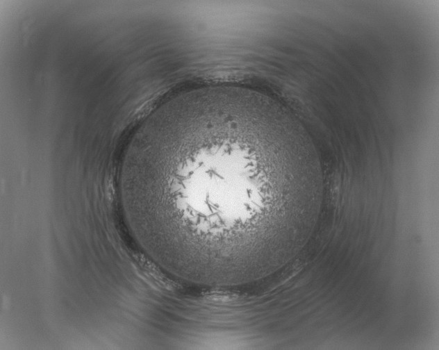 X0000077980746200611101702