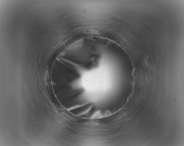 X0000077980747200611101702