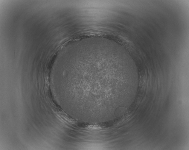 X0000077980749200611101702