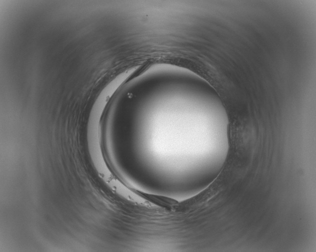 X0000077980750200611101702