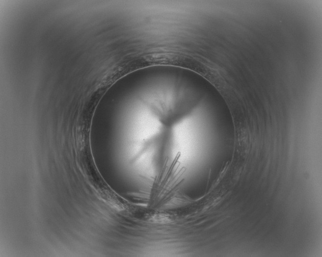 X0000077980751200611101702
