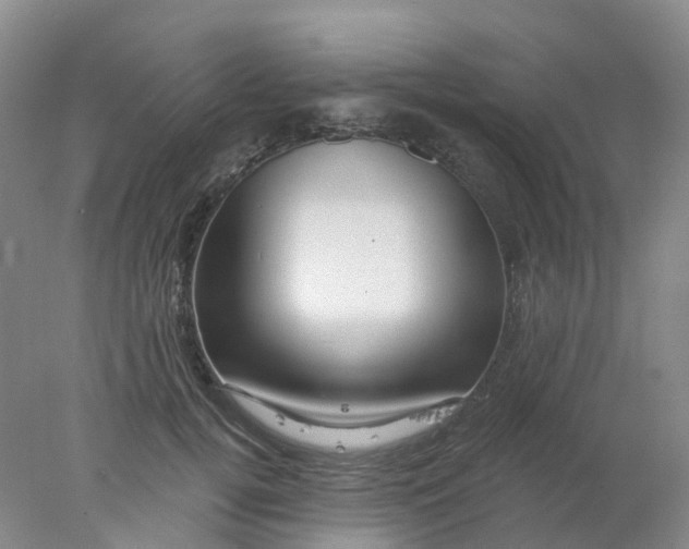 X0000077980752200611101702