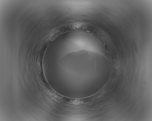 X0000077980754200611101702