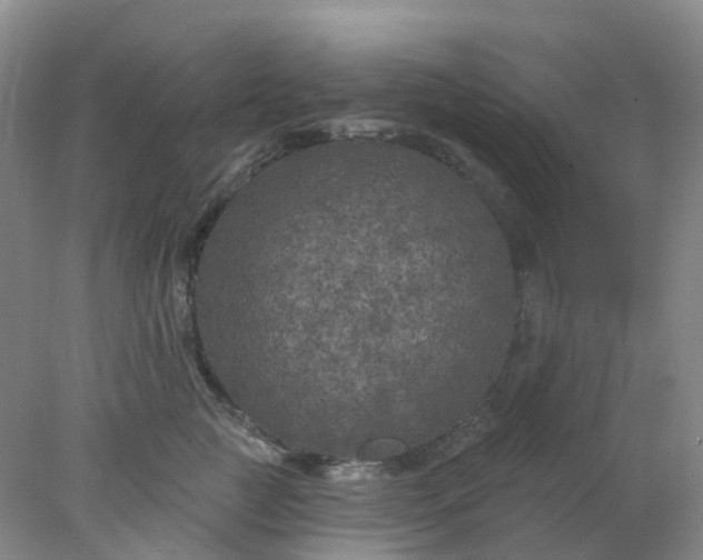 X0000077980761200611101702