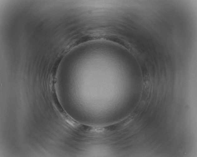 X0000077980767200611101702