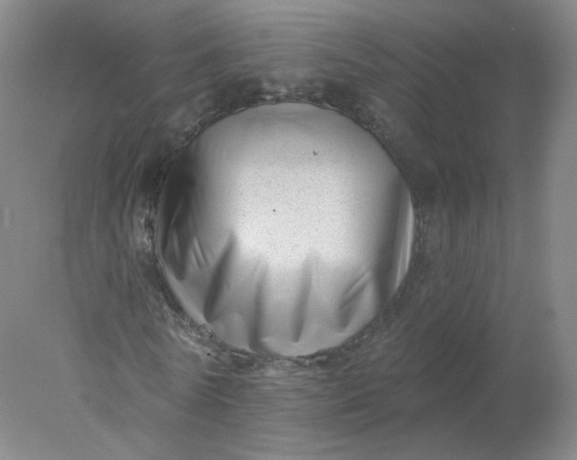 X0000077980770200611101701