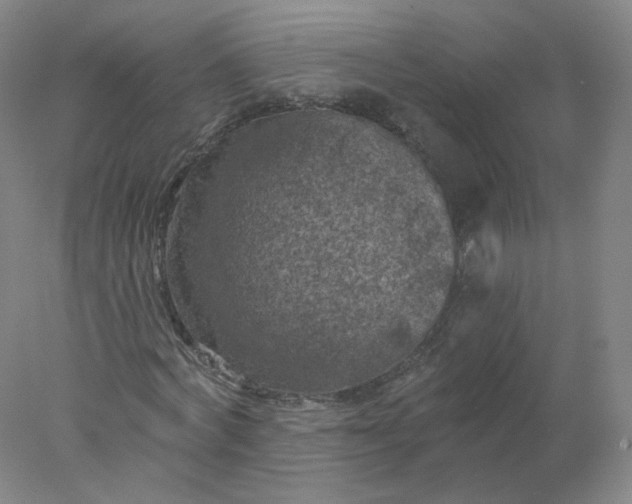 X0000077980772200611101701