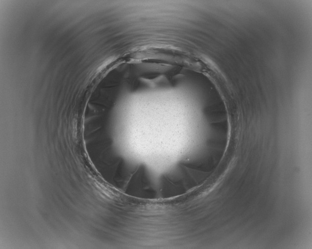 X0000077980777200611101701