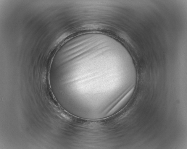 X0000077980778200611101701