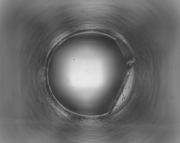 X0000077980786200611101701