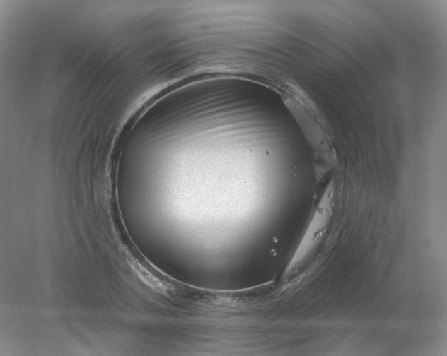 X0000077980787200611101701