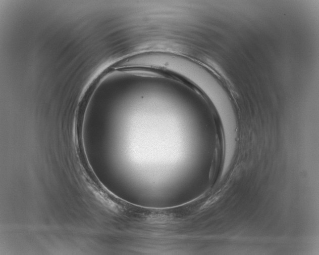 X0000077980788200611101701