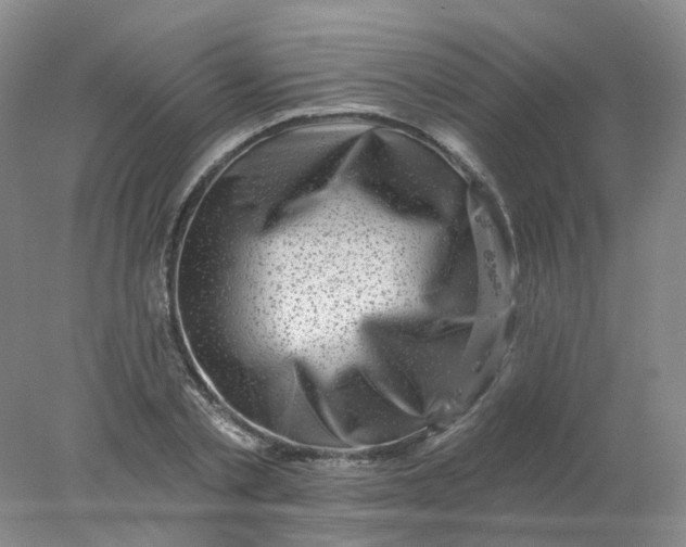 X0000077980789200611101701