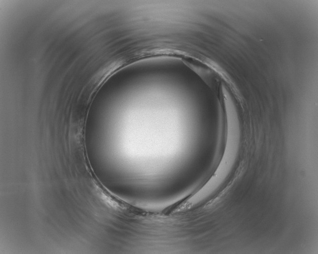 X0000077980801200611101701