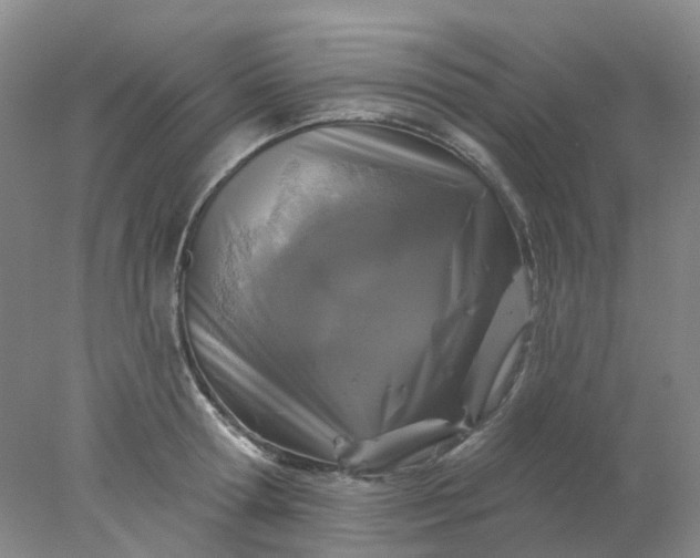 X0000077980802200611101701