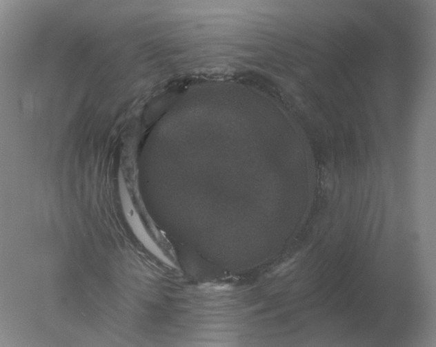 X0000077980818200611101700
