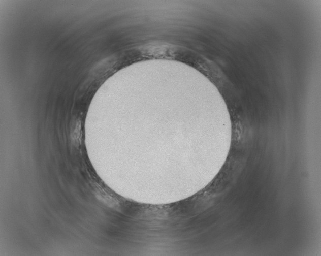 X0000077980820200611101700