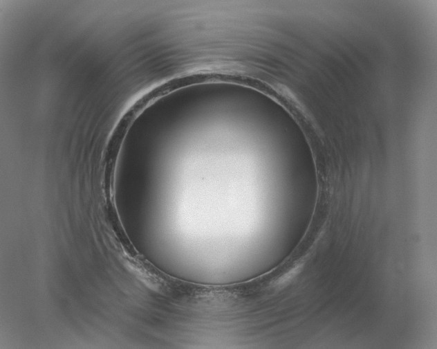 X0000077980830200611101700