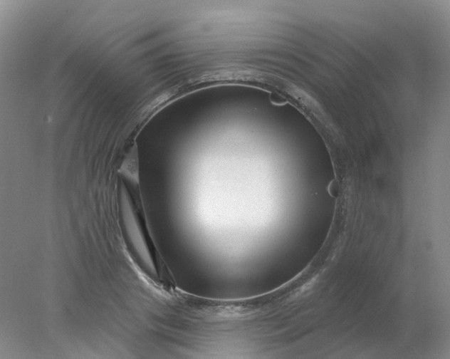 X0000077980841200611101700