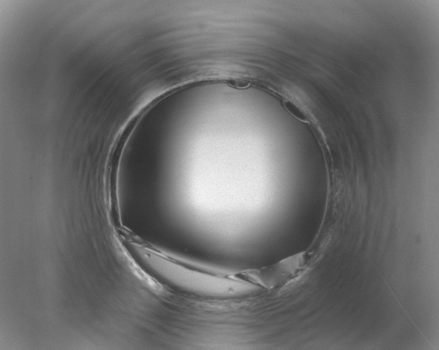 X0000077980843200611101700