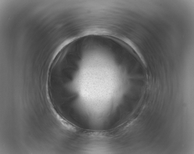 X0000077980861200611101700
