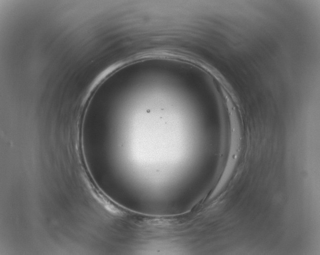 X0000077980862200611101700