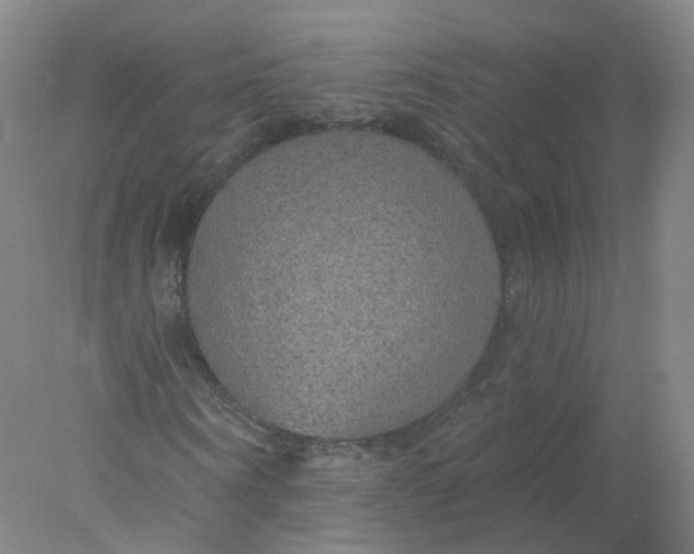X0000077980866200611101700