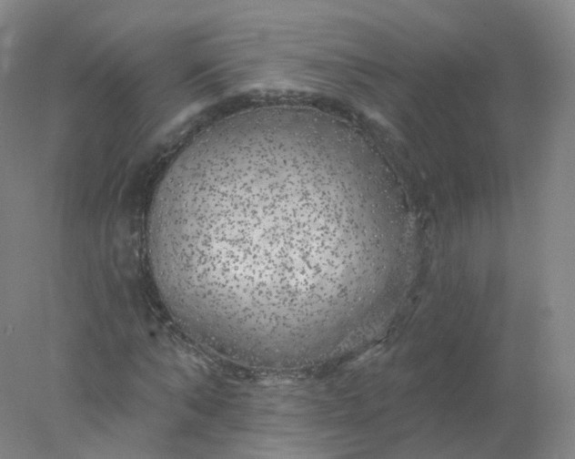 X0000077980870200611101659