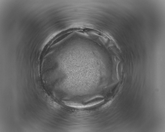 X0000077980877200611101659