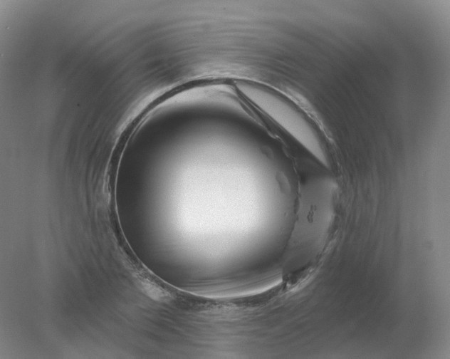 X0000077980885200611101659
