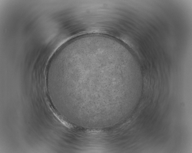 X0000077980886200611101659