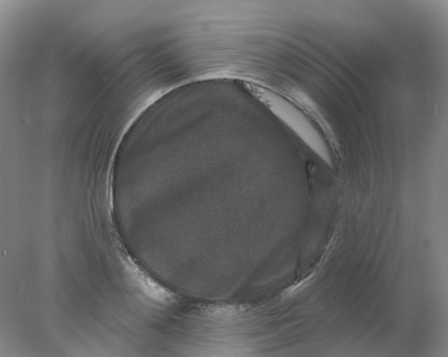 X0000077980892200611101659
