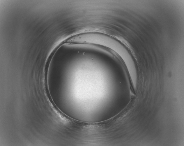 X0000077980894200611101659
