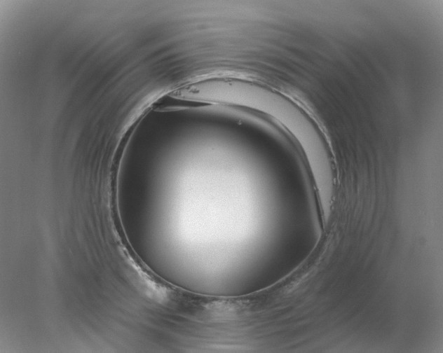 X0000077980898200611101659