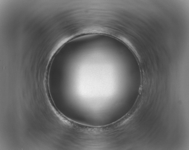 X0000077980901200611101659