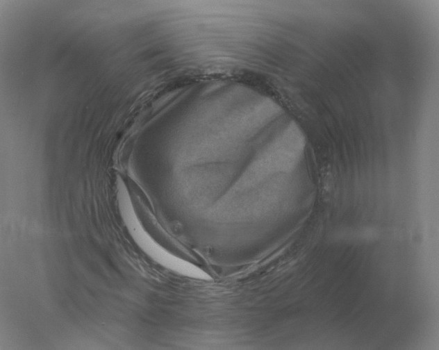 X0000077980916200611101658