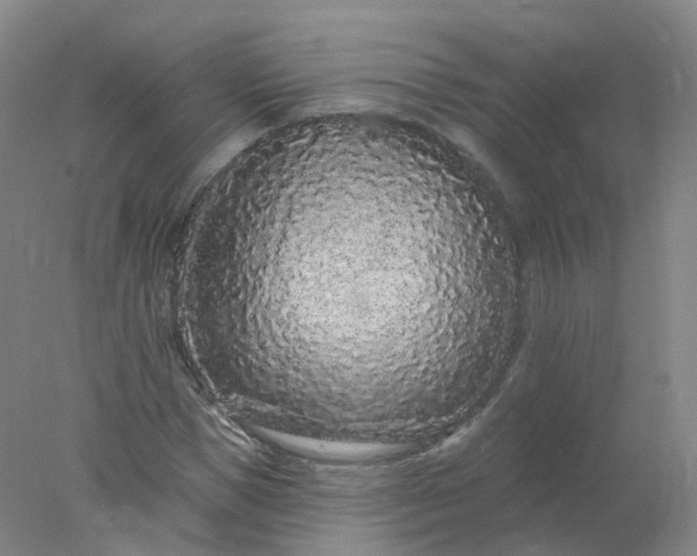 X0000077980921200611101658