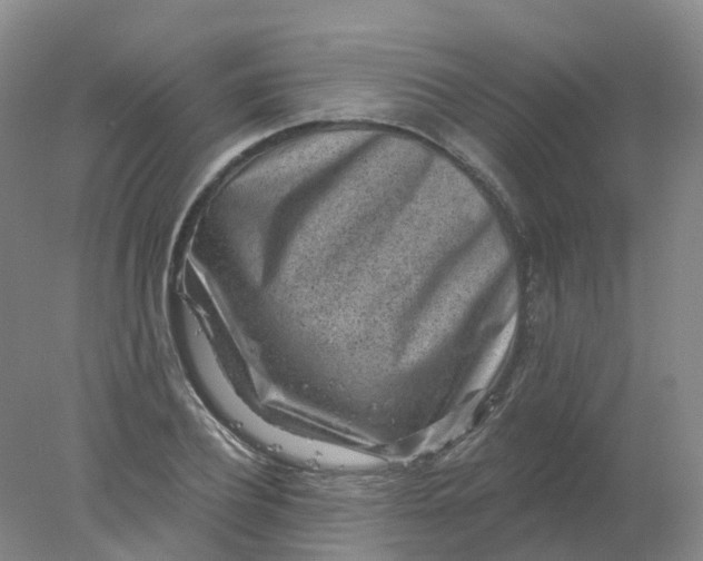 X0000077980932200611101658