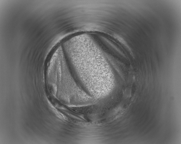 X0000077980934200611101658