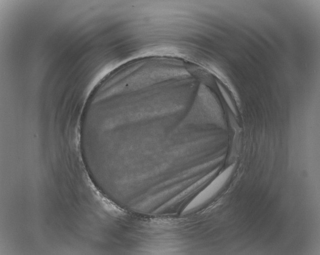 X0000077980944200611101658