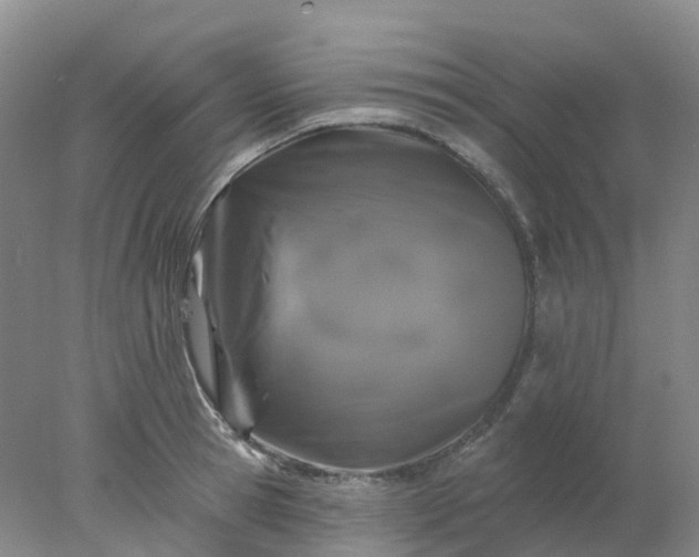 X0000077980945200611101658