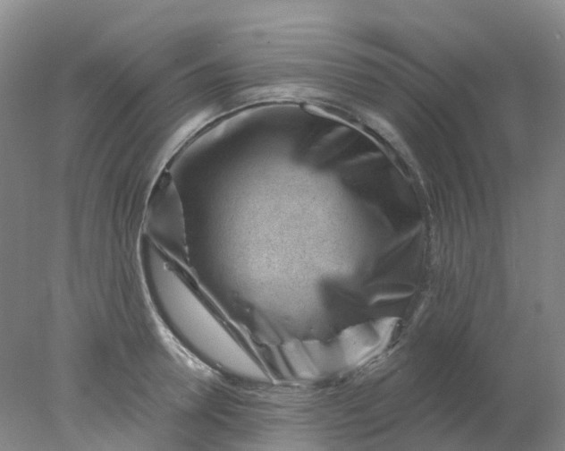 X0000077980946200611101658