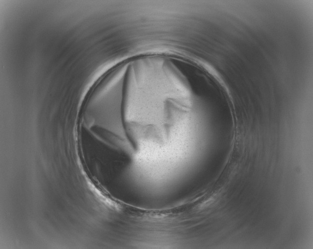 X0000077980951200611101659