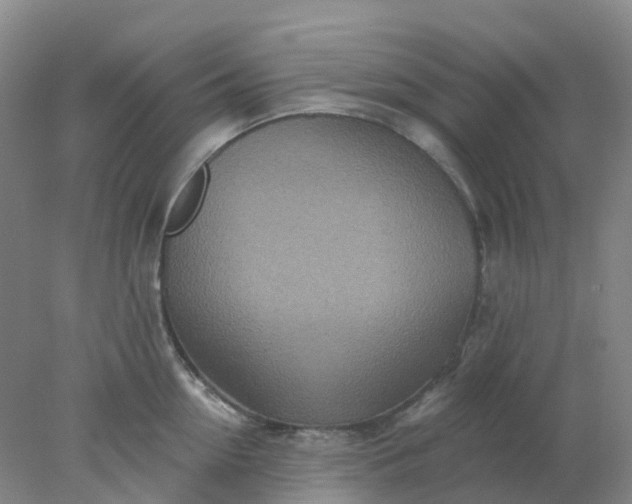 X0000077980954200611101659